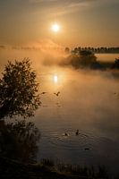 opstijgen richting de zonsopkomst