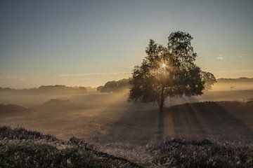 Zonsopkomst bij de Gasterse Duinen (Drenthe) van Jolanda Freije Fotografie