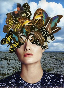 All about butterflies by Anjuska Slijderink
