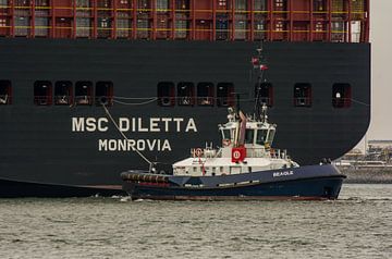 De  sleepboot Beagle in actie op de Maasvlakte haven Rotterdam. van scheepskijkerhavenfotografie