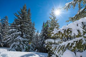 Filzmoos, Österreich