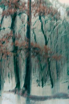 Wolfhezerheide part 160