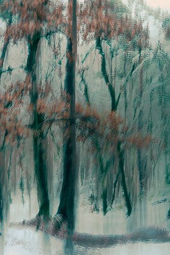 Wolfhezerheide part 160