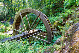 Ein Blick auf die Wassermühle in der Nähe von Schloss Regenstein von Andreas Völkel