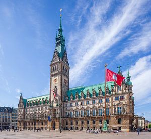 Hôtel de ville de Hambourg, Hambourg, Allemagne