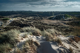 Dünen auf Terschelling – Sand, Strandhafer und Wattenmeerluft von Elianne van Turennout