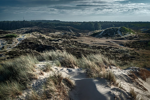 Duinen op Terschelling – zand, helmgras en Waddenlucht