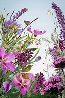 bloemen in het veld