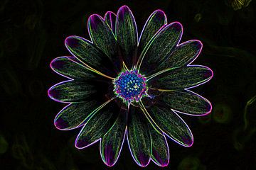 Glowing edges