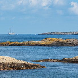 Landschaft im Naherholungsgebiet Hasseltangen in Norwegen von Rico Ködder