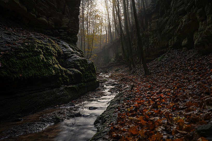 Kabbelend beekje in herfstbos van Imperial Art House