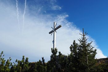 Le parc naturel des Alpes d'Ammergau fait partie des plus beaux paysages de Bavière. Il combine une nature intacte, des montagnes variées et des alpages riches en traditions.