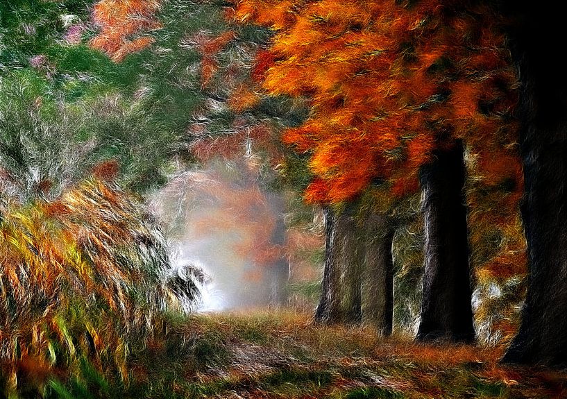 Herbstwald van Lars Tuchel