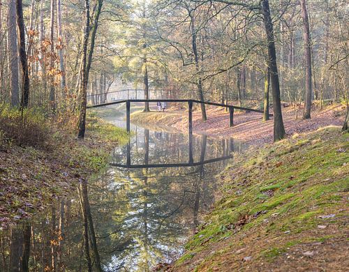 Magische ochtend op landgoed Heidestein!