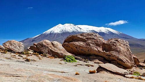 The Andes of the Altiplano in Bolivia