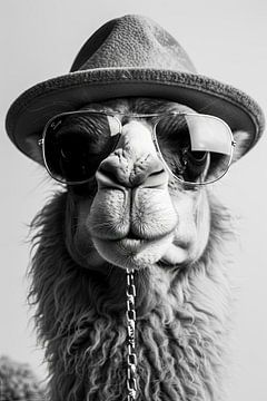 Zwart-wit portret van een kameel met hoed en bril van Felix Brönnimann
