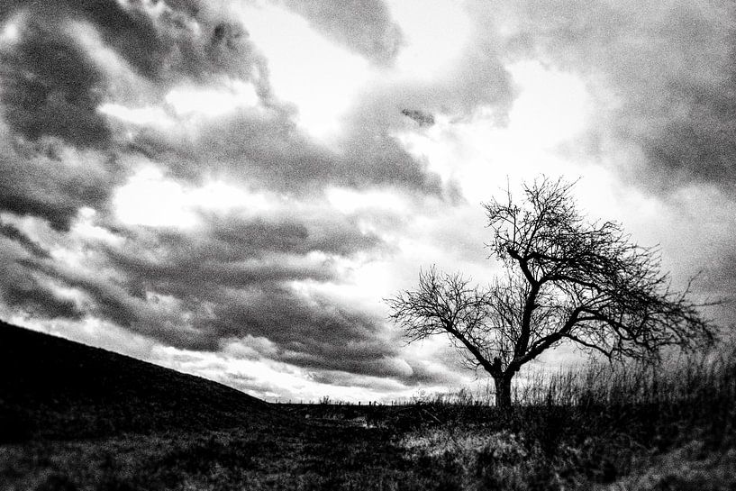 Landschaft mit Baum von Gert Stockmans