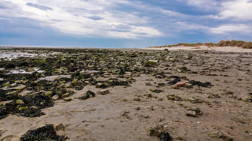 Texel par Peter Veerman