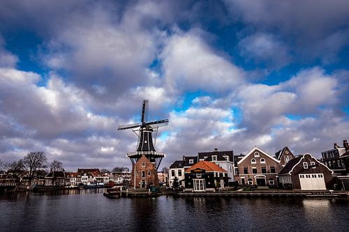 Molen De Adriaan in Haarlem aan het Spaarne – iconisch stadsgezicht
