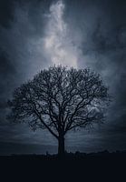 Einsamer Baum Twickel