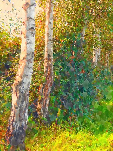 Lever de soleil dans les forêts de bouleaux sur Paul Nieuwendijk