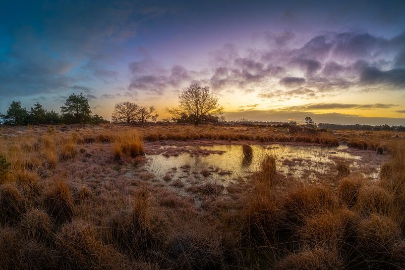 Lever du soleil dans le Brabant par Rob Bout