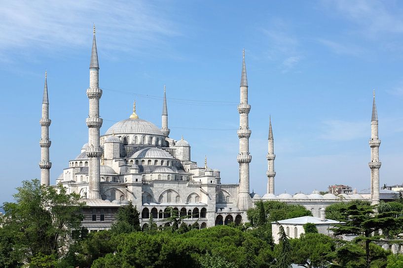 Blauwe Moskee in Instanbul van Dianne van der Velden