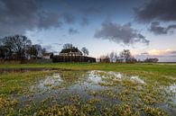 Flooded meadow by Jan Koppelaar thumbnail
