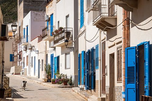Idyllische Straße auf Marettimo Sizilien