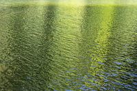 Goudgroene reflectie op het meer