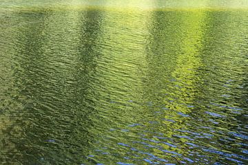 Golden-green reflection at the lake
