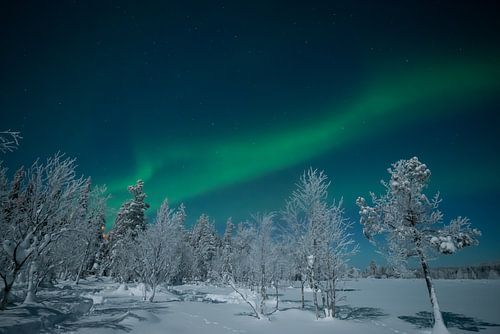 Noorderlicht in Lapland