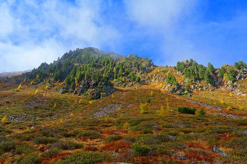 Wo der Nebel die Gipfel küsst von Theodor Decker