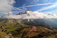 Passo Rolle und Pale di San Martino - Trentino-Südtirol - Italien von Felina Photography Miniaturansicht