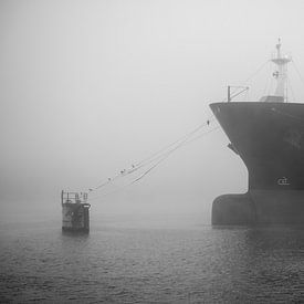 Im Nebel an der Mole vertäute Schiffe von scheepskijkerhavenfotografie