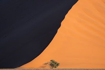 Dune 40 in Namibia (horizontal)