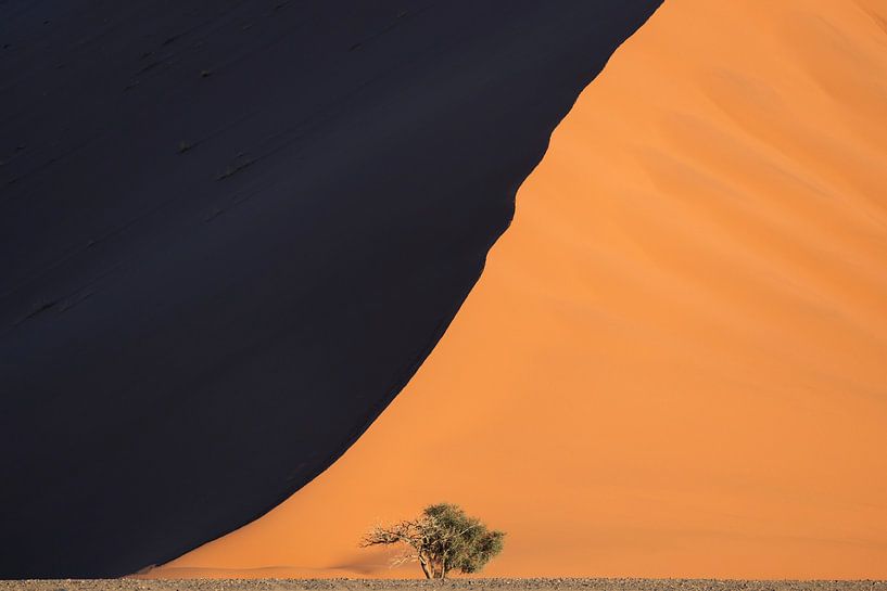 Düne 40 in Namibia (horizontal) von Sven Broeckx