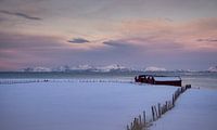 Ställe im Schnee