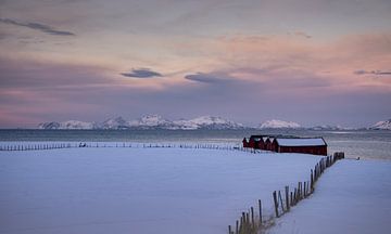 Stables in the snow by Abe Maaijen