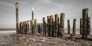 Golfbreker bij Breskens