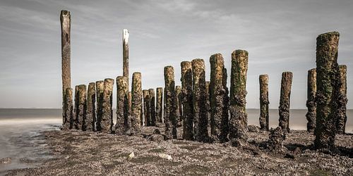 Golfbreker bij Breskens