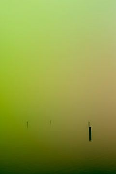Groene mist over de Rijkerswoerdse Plassen van Robert Wiggers
