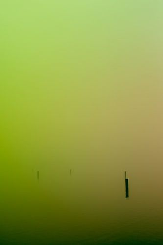 Groene mist over de Rijkerswoerdse Plassen