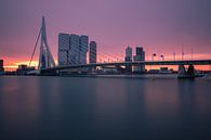Rotterdam in het ochtendlicht van Ilya Korzelius thumbnail