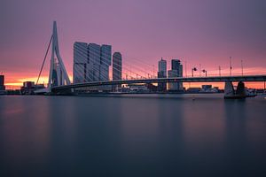 Rotterdam im Morgenlicht von Ilya Korzelius