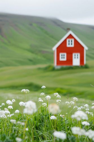Rode hut in een groene idylle
