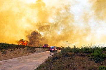 Grote bosbrand bedreigt national park aan de westkust in Portugal van Eye on You
