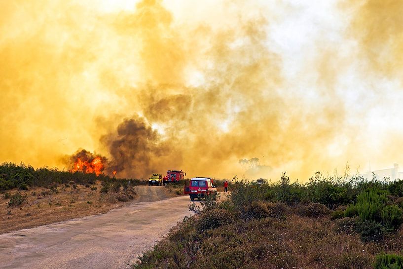 Major forest fire threatens national park on west coast in Portugal by Eye on You