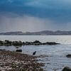Juste avant l'orage sur MdeJong Fotografie