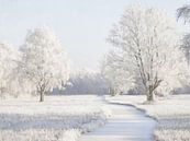 Winter Weiland van Lars van de Goor thumbnail